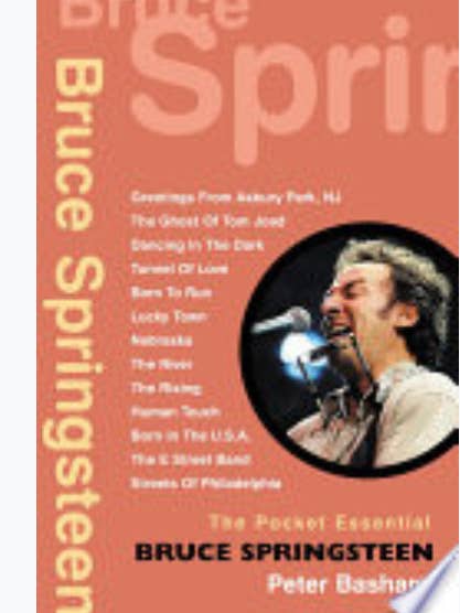 Bruce Springsteen Peter Basham Book for wholesale by Real Retro