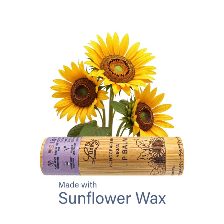 Luxiny Products - Luxurious Bath and Body - Wholesale Lip Balm - Black Raspberry Vanilla Vegan Lip Balm – Bamboo Tube4