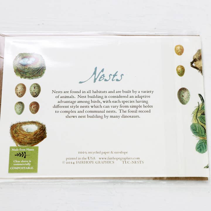 Fairhope Graphics - Wholesale Everyday Greeting Card - Bird Nests Card2