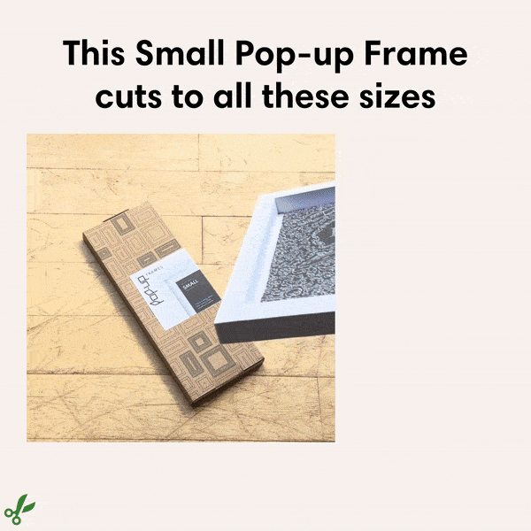 Pop-up Frames - Wholesale Picture Frame - Picture Frame 3-pack for Uni Students3