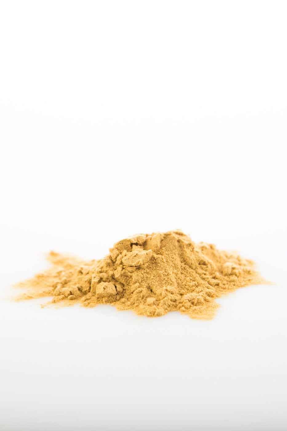 Sun Potion - Wholesale Protein/Superfood Powder - Astragalus (Wildcrafted)6