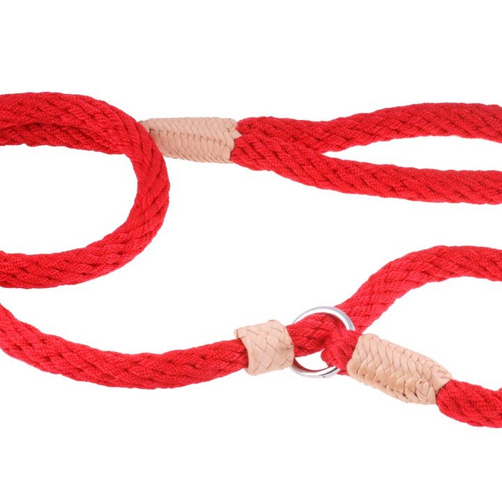 Alvalley - Wholesale Pet Leash - Dog - Nylon Slip Lead With Stopper235