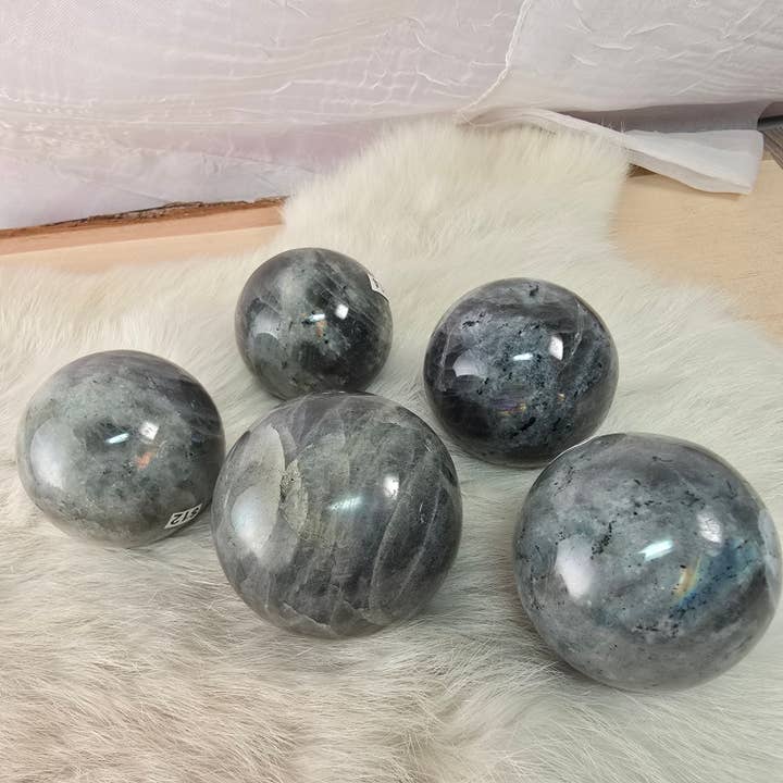 Aquamarine Daydream Wholesale - Wholesale Spiritual Stone/Crystal - 5pc Labradorite Spheres ~ Polished Crystals ~ Bulk Minerals
