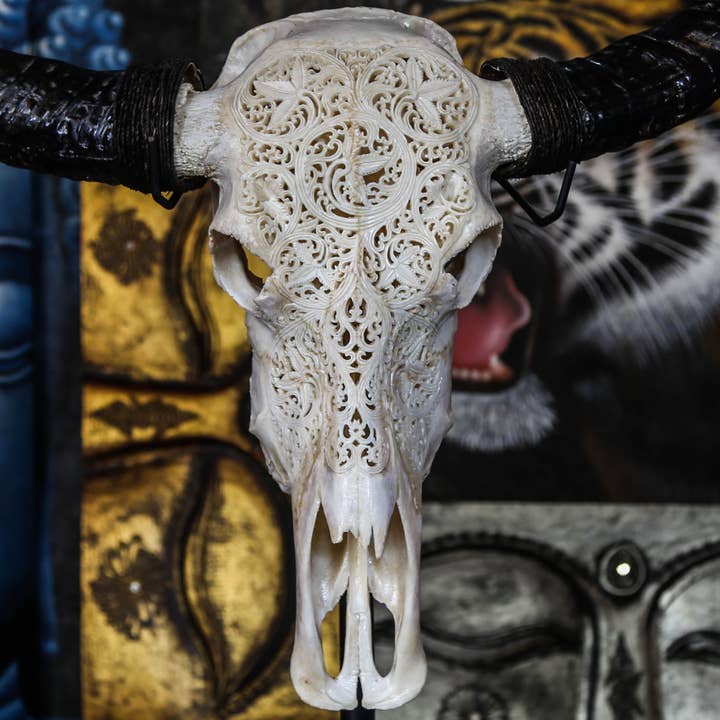 Aureus Skulls - Wholesale Wall Accent - Hand Carved Buffalo Skull - 7 Circles