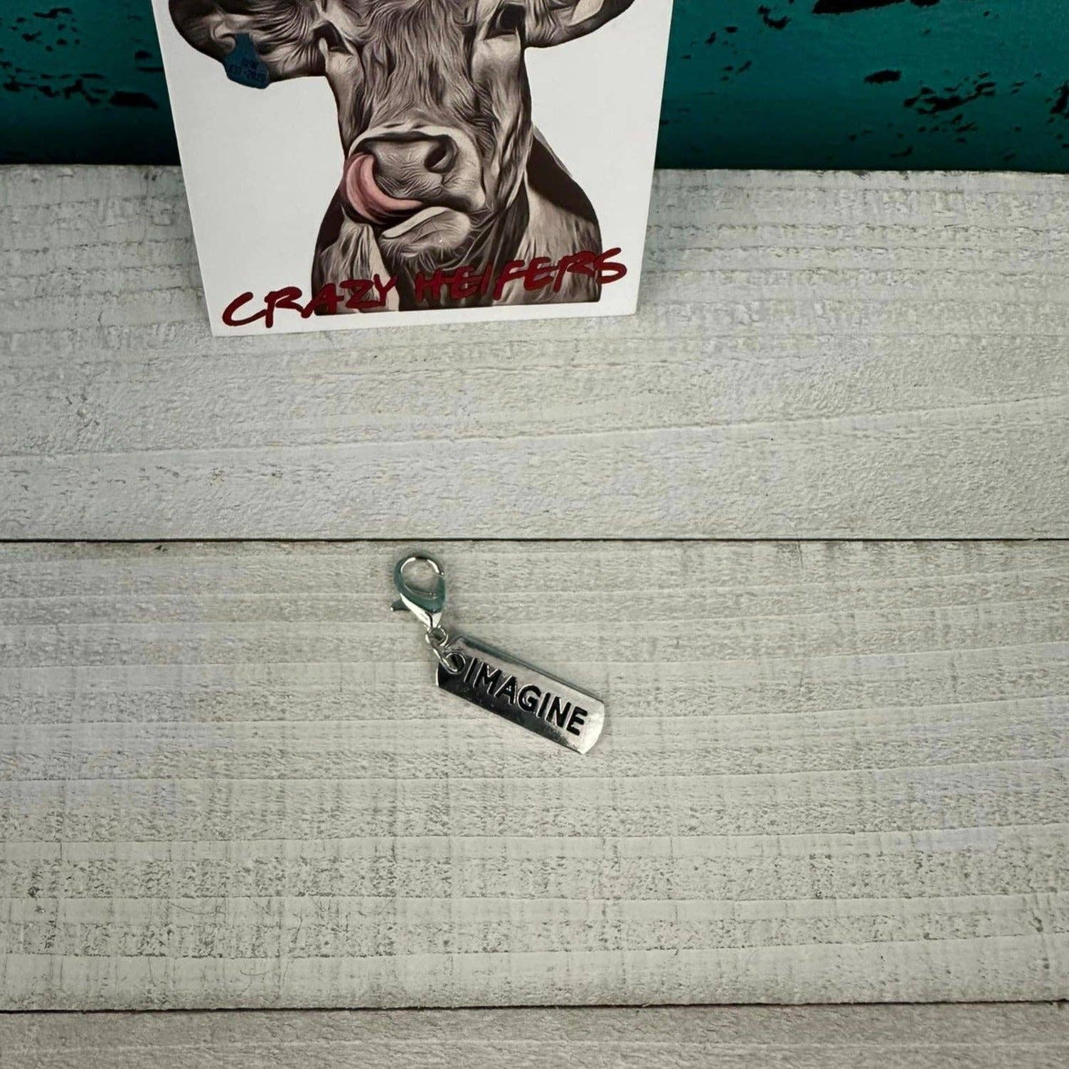 Crazy Heifers Wholesale - Wholesale Individual Charm/Pendant - Clip-on Charms Silver Tone27