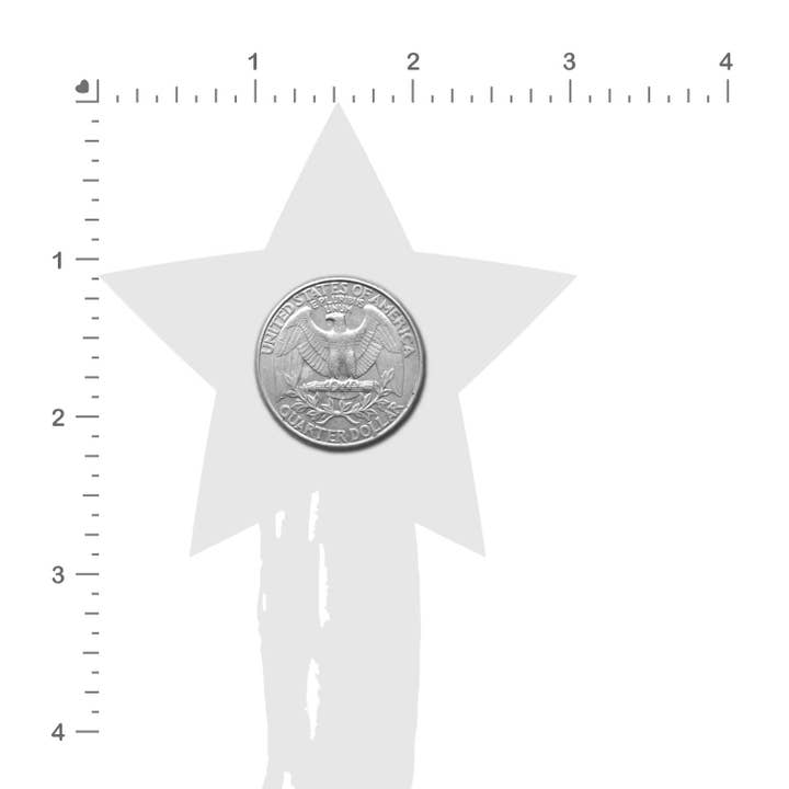 Pastease® - Wholesale Tepelcovers - Dames - Star Tassel Pasteitjes: Zilveren glitter ster met franjes pasteitjes4