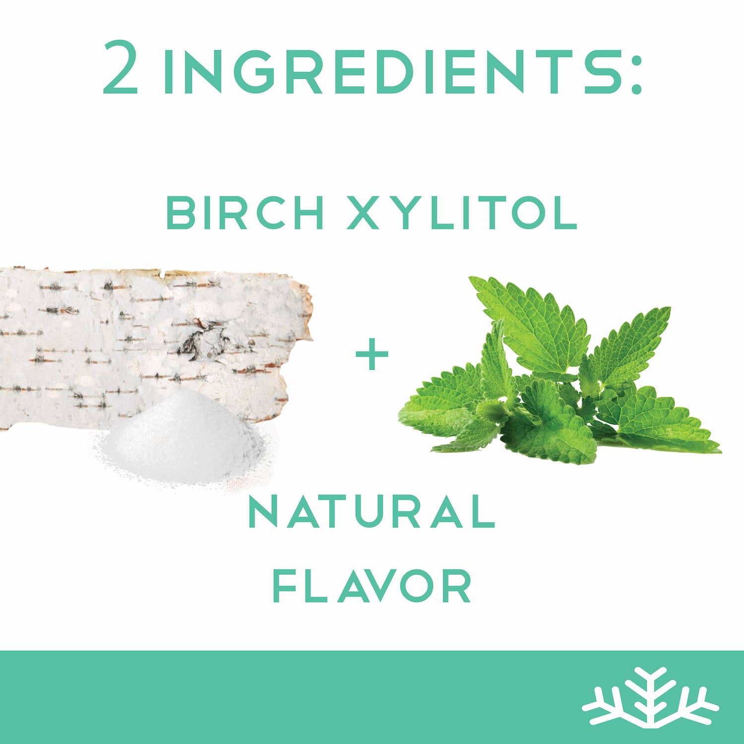 SNØ - Venta al por mayor Golosinas duras - Wintergreen - Candy sin azúcar - Keto y vegano | 6 latas4