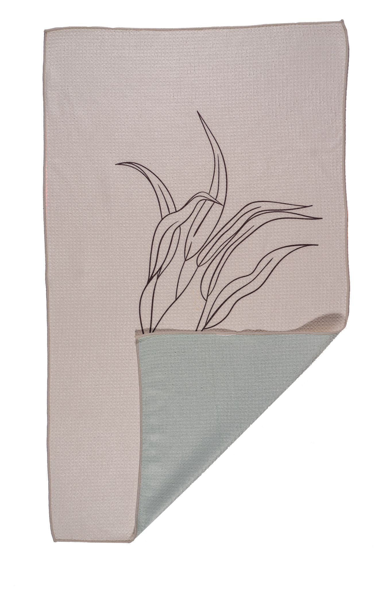 Bloom Towels - Wholesale Tea Towel - B113 Leaflet1