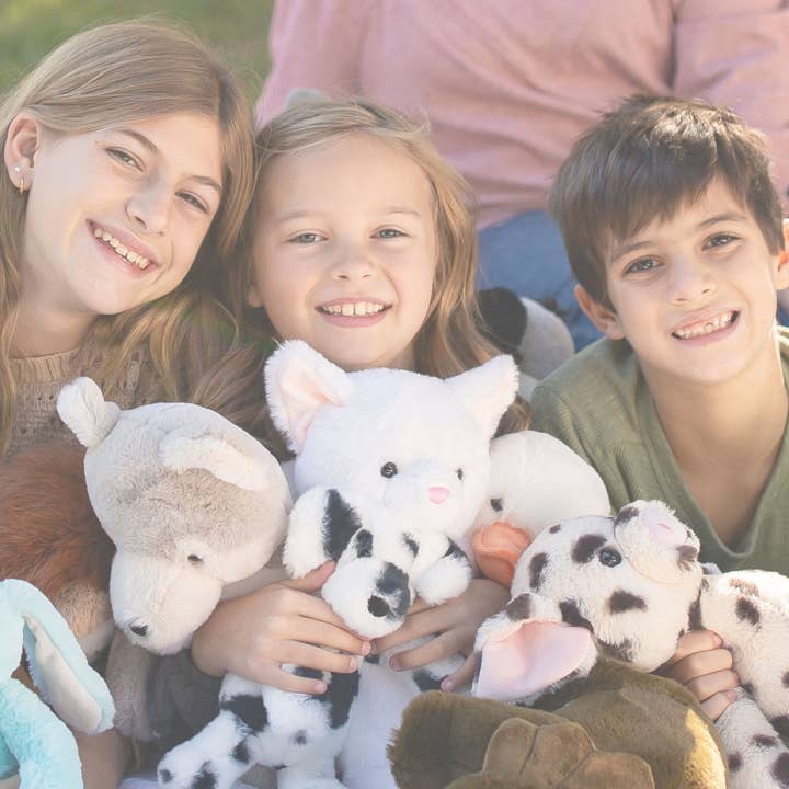 Beverly Hills Teddy Bear Company - Wholesale Stuffed/plush toy – Kids & baby - World's Softest Lushee 16 inch - Karing Kitty WHT Plush Toy5