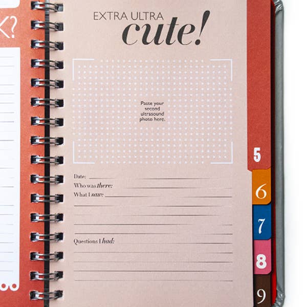 Wry Baby - Wholesale Journal/Diary - Maternity - The Nine, A Pregnancy Countdown Journal | Maternity Book