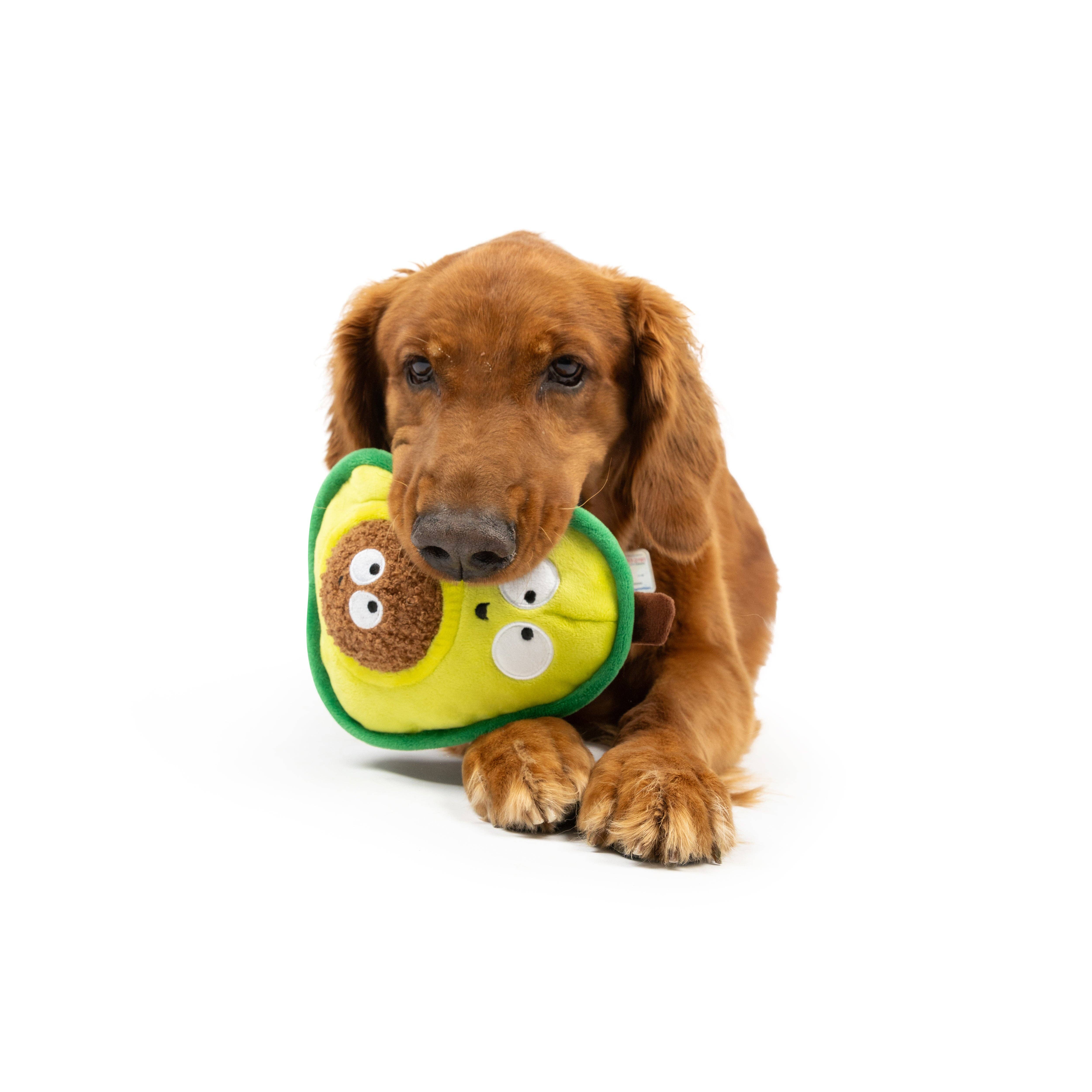 Huxley & Kent – wholesale Pet plush toy – Dog – Pop 'n Fetch Avocado Dog Toy7