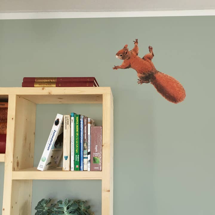 MYRTE - Wholesale Wall Decal/Stickers - Squirrel Illustration Wall Decal Wall Stickers1