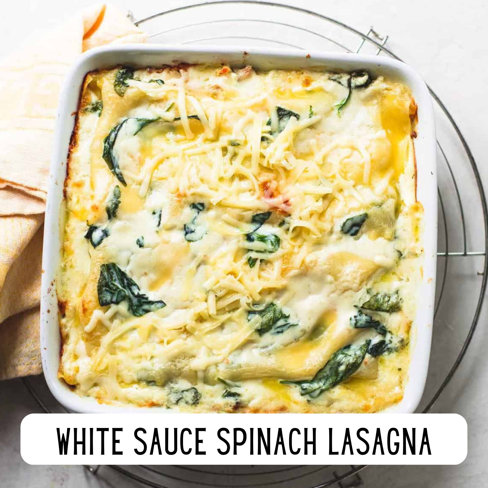 Alaska Seasoning Company - Vendita all'ingrosso Mix di spezie secche - Salsa Alfredo in polvere3