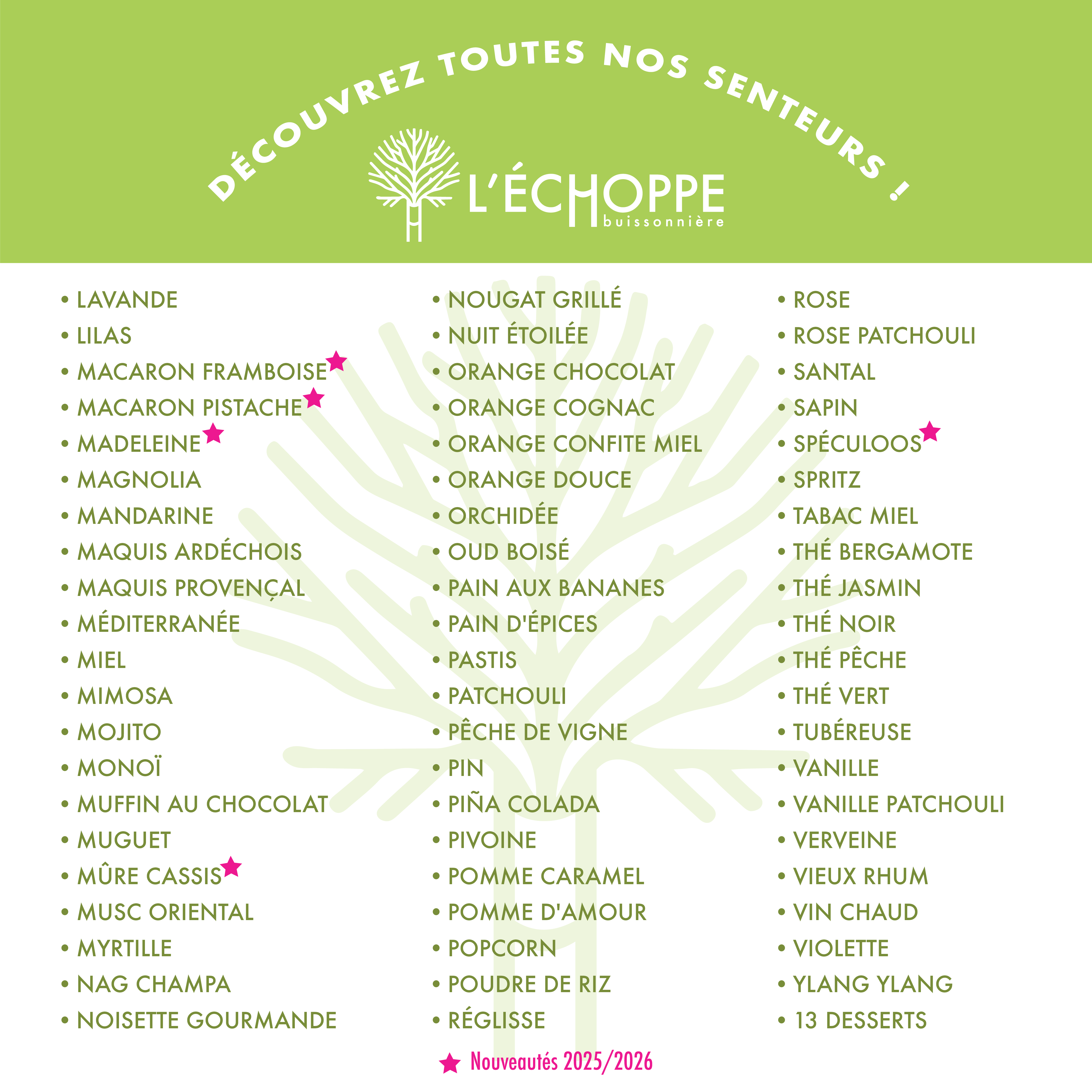 L'Échoppe Buissonnière - Wholesale Jar/Filled Candle - Raspberry Lychee - Scented Candle 180g5