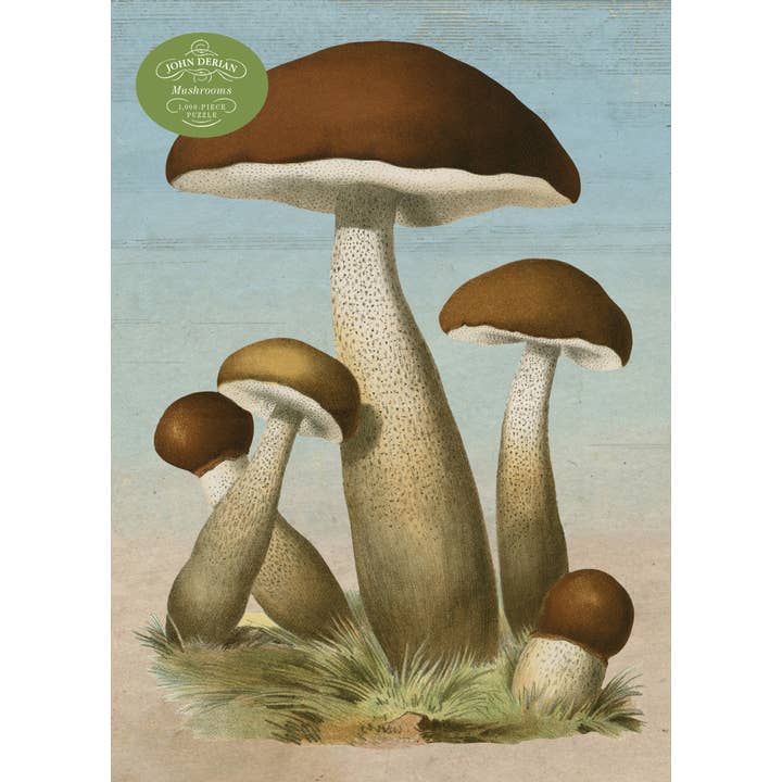 Hachette Book Group - Wholesale Puzzle - Adult - John Derian Paper Goods: Mushrooms 1,000-Piece Puzzle
