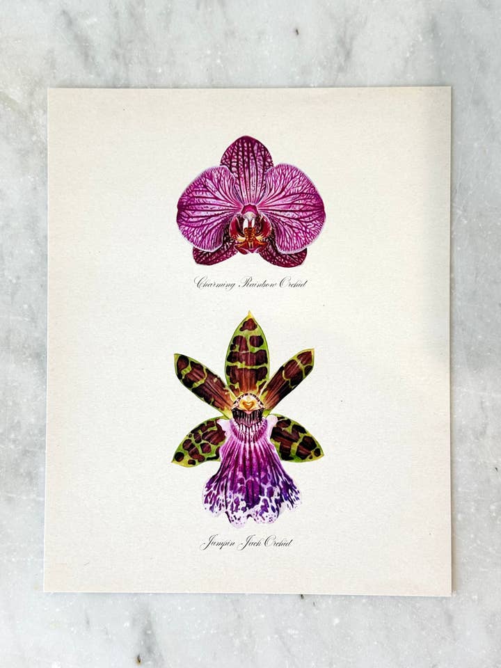 Purple Pair Orchids Print for wholesale by Gilded Palms