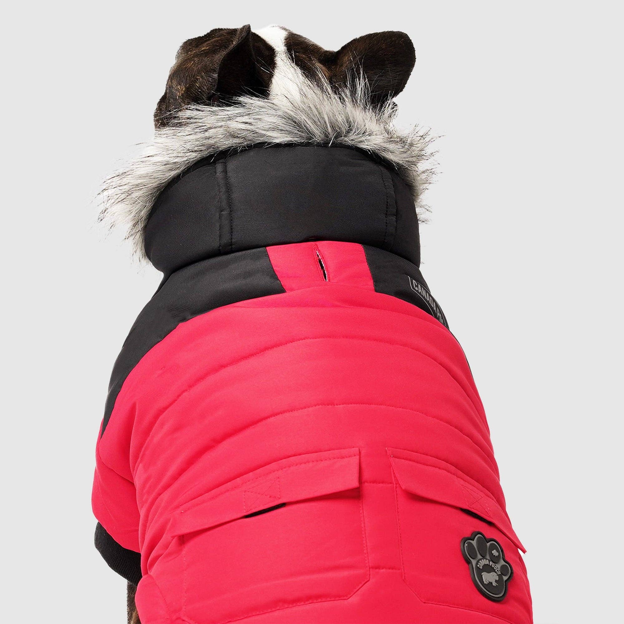 Canada Pooch - Vendita all'ingrosso Cappotto - Cani - Parka invernale True North per cani7
