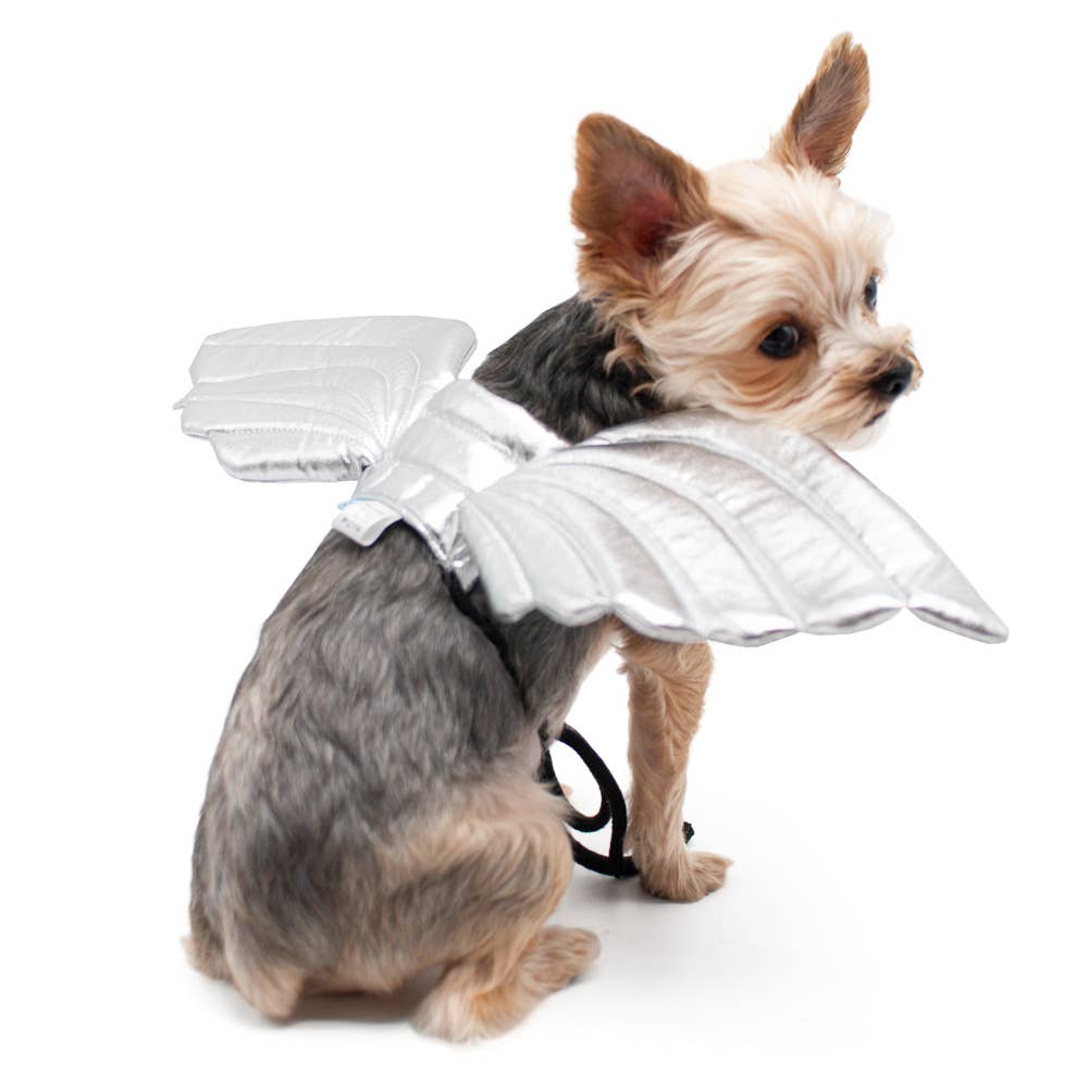Dogo Pet - Wholesale Pet Costume - Dog - Angel Wings5