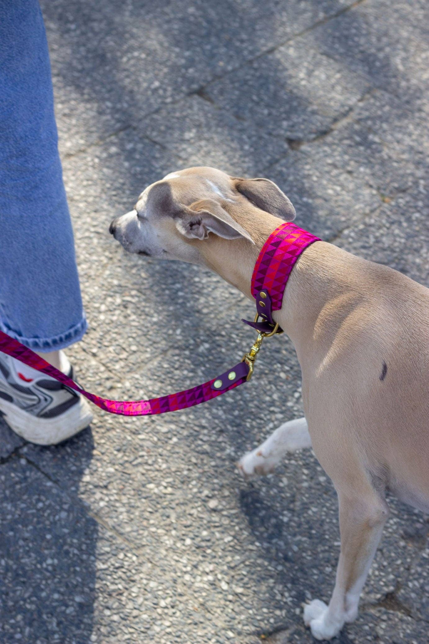 Atelier Markiz - Wholesale Pet Collar - Dog - Rio Necklace2