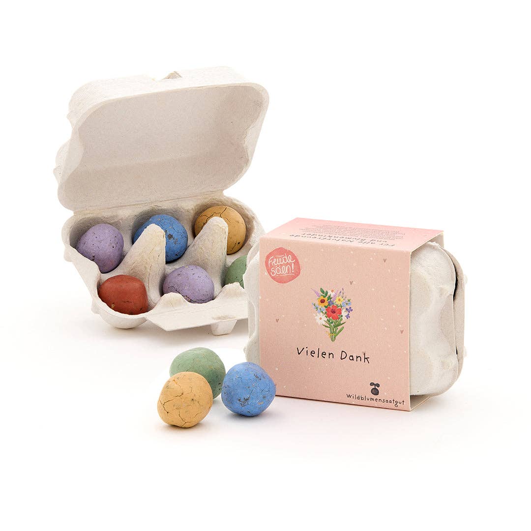 TDJ Stadtgärtner GmbH - Venta al por mayor Semillas de plantas - 6 canicas de flores coloridas en cartón de huevos "Muchas gracias"1