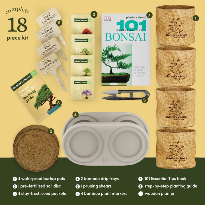 Planter's Choice - Wholesale DIY Craft Kit - Bonsai Growing Kit