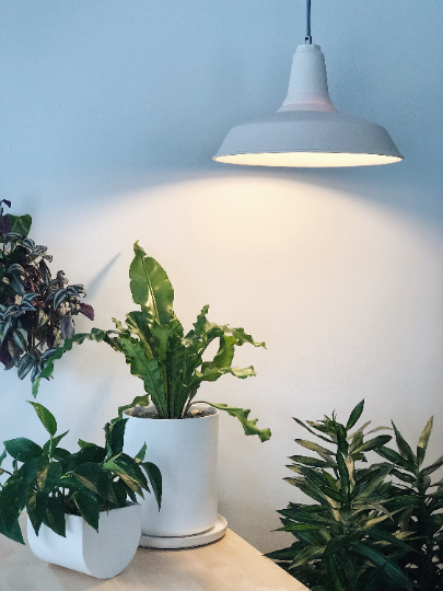 Niik Creative Co. - Wholesale Chandelier/Hanging Light - Modern Farmhouse Ceramic Porcelain Pendant Light Fixture1