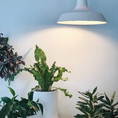 Niik Creative Co. - Wholesale Chandelier/Hanging Light - Modern Farmhouse Ceramic Porcelain Pendant Light Fixture1