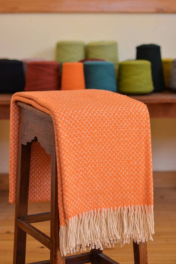 Chicoração - Vendita all'ingrosso Plaid - Coperta Rondine - più colori7