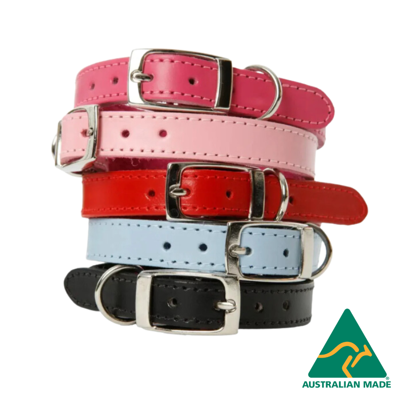 DOGUE - Wholesale Pet collar – Dog - DOGUE Classic Leather Dog Collar1