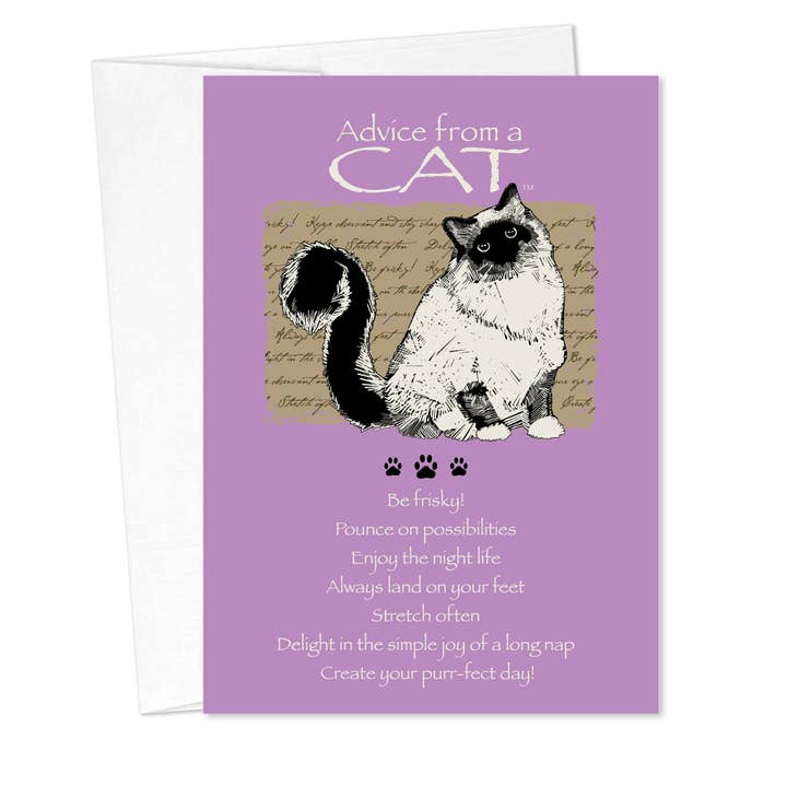 Advice from a Cat Birthday Card for wholesale by Advice for Life by Your True Nature
