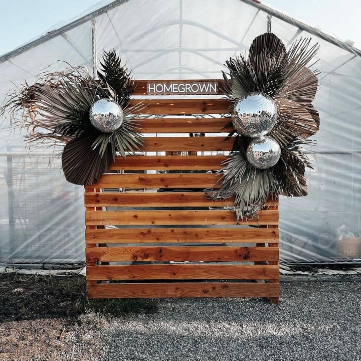 The Blooming Palm - Wholesale Retailer sample – Home decor - 3ft. JUMBO Sun-Dried Wild Untouched Palm Leaf Wispy Frond9