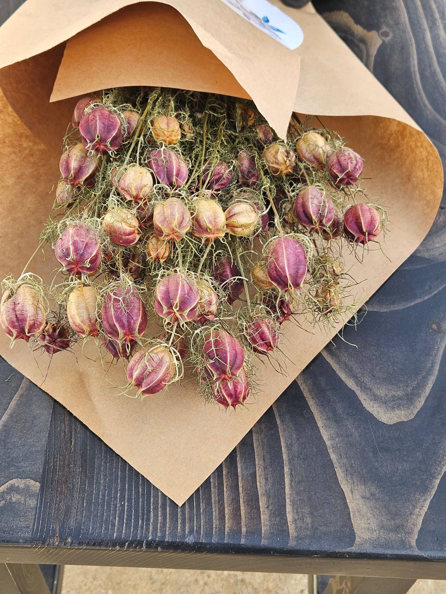 Alissas Flower Farm - Wholesale Dried/Pressed Flowers - Pods:  Nigella4