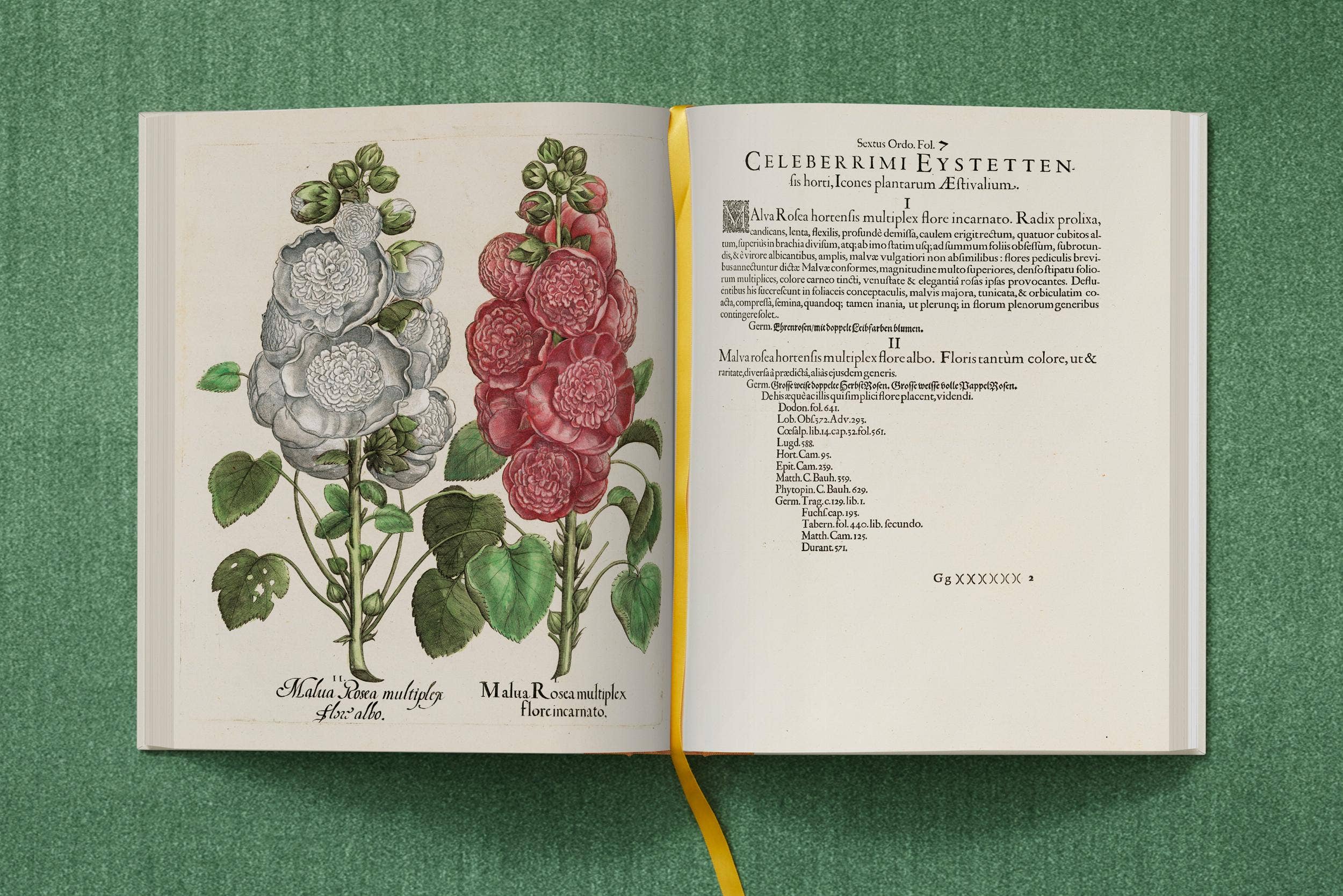 TASCHEN Europe – wholesale Nature & outdoors book – Basilius Besler. The Garden at Eichstätt (German, French, English)12