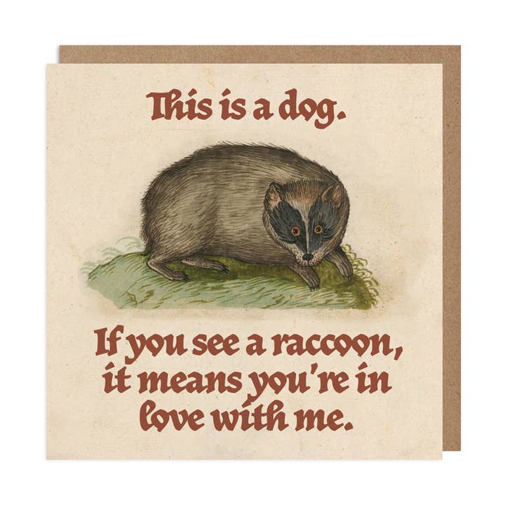 Funny Love Card – Not a Raccoon for wholesale by Betiobca