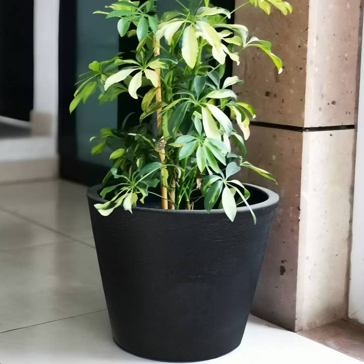 Ecobo – Vaso de plantas por atacado – Plantador de Vasos Cozumel16