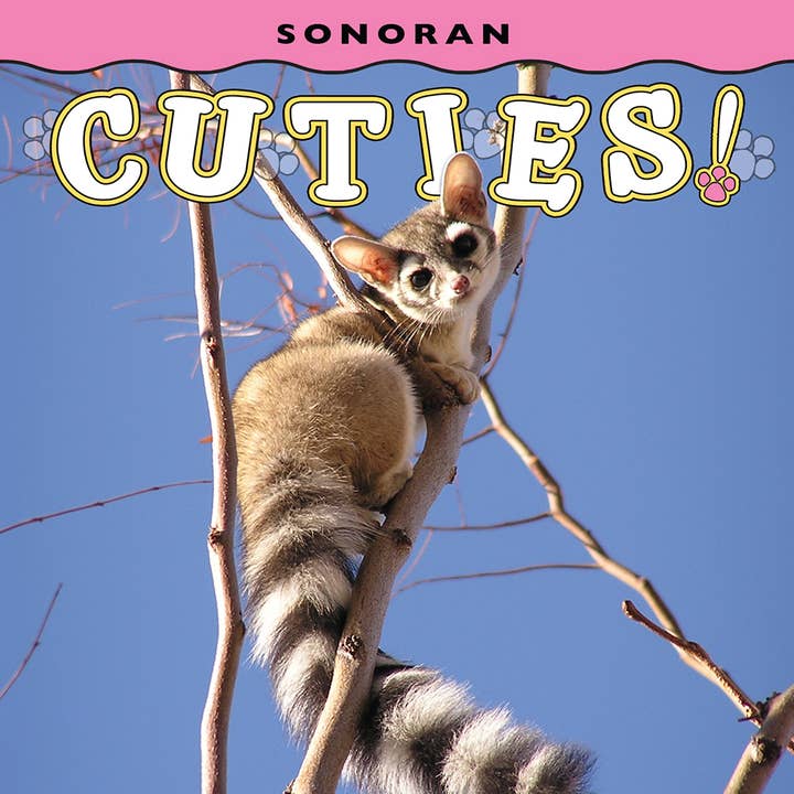 Farcountry Press - Wholesale Baby & Toddler Book (0-2) - Sonoran Cuties!