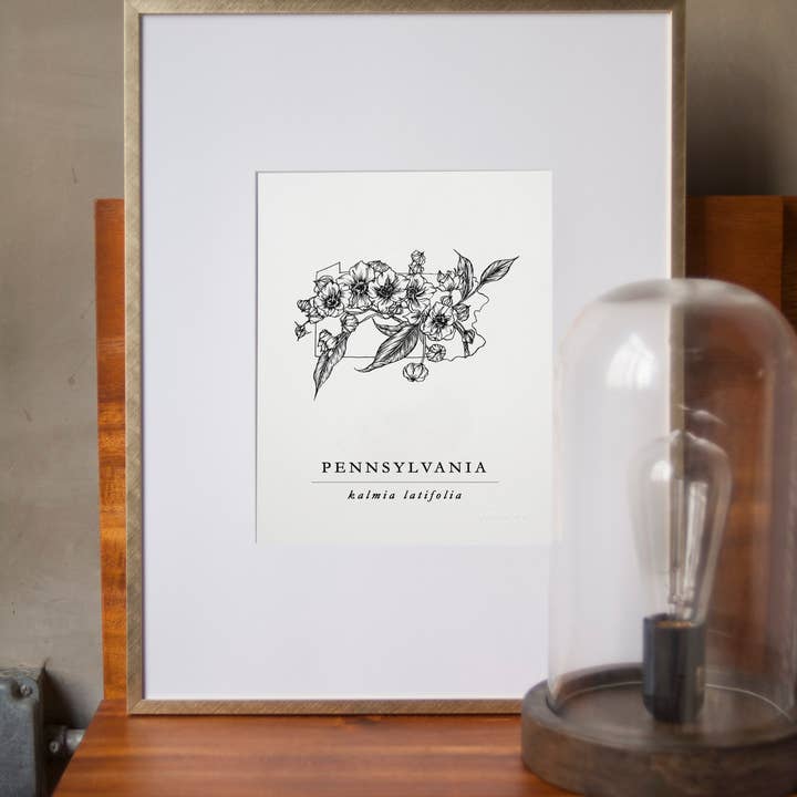 Seniman Calligraphy - Wholesale Art Print - Pennsylvania Mountain Laurel Artprint