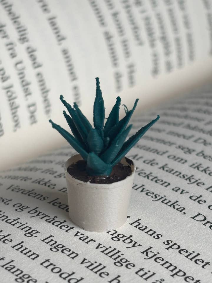 Mini Aloe Vera Plant To Miniature Bookshelf for wholesale by Nordic Book Adventure