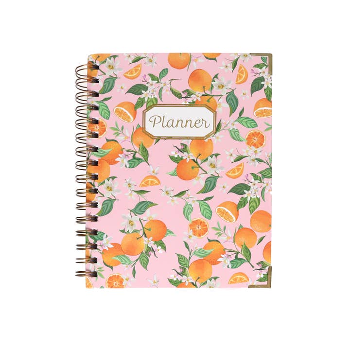 Agenda settimanale di Amalfi per la vendita all'ingrosso da parte di Fulique