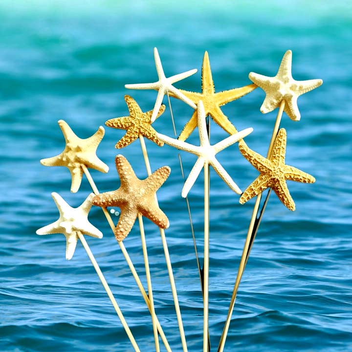 STARFISH Pick Stems Bouquet Floral accent arrangement decor for wholesale by Shell We Sea Designs