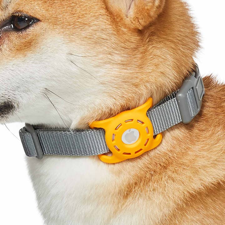 1 Pack AirTag Holder for Pet Collar, Orange for wholesale by Blueberry Pet