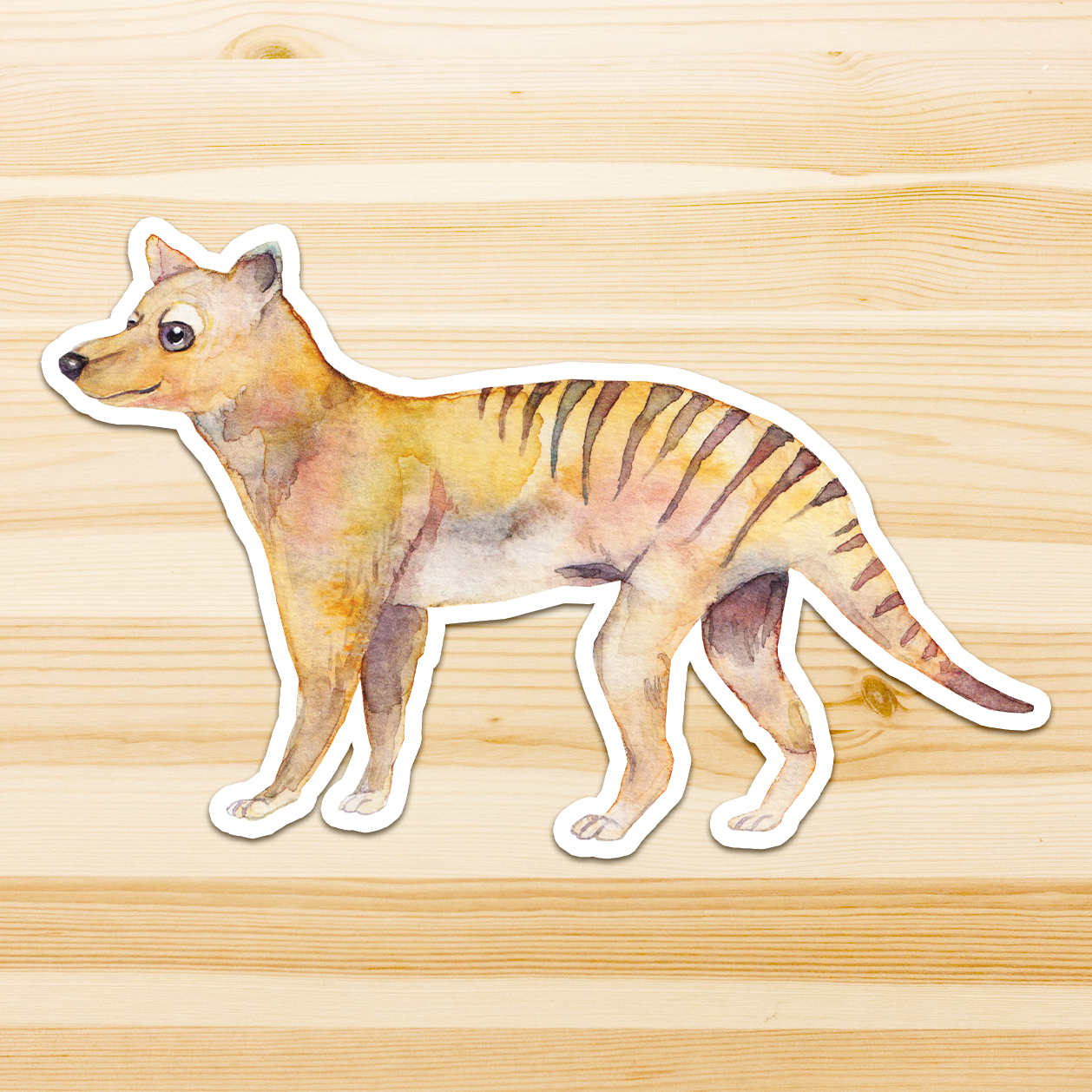 Watercolour By Cat - Wholesale Sticker - Large Australian Animal Vinyl Sticker23