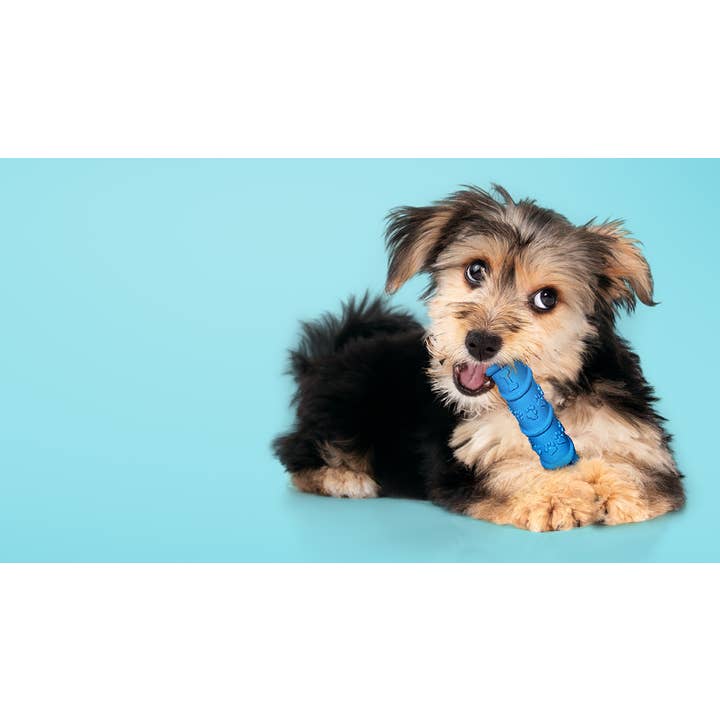 Spunky Pup - Wholesale Pet chew toy – Dog - Gnaw Guard Foam Toys7