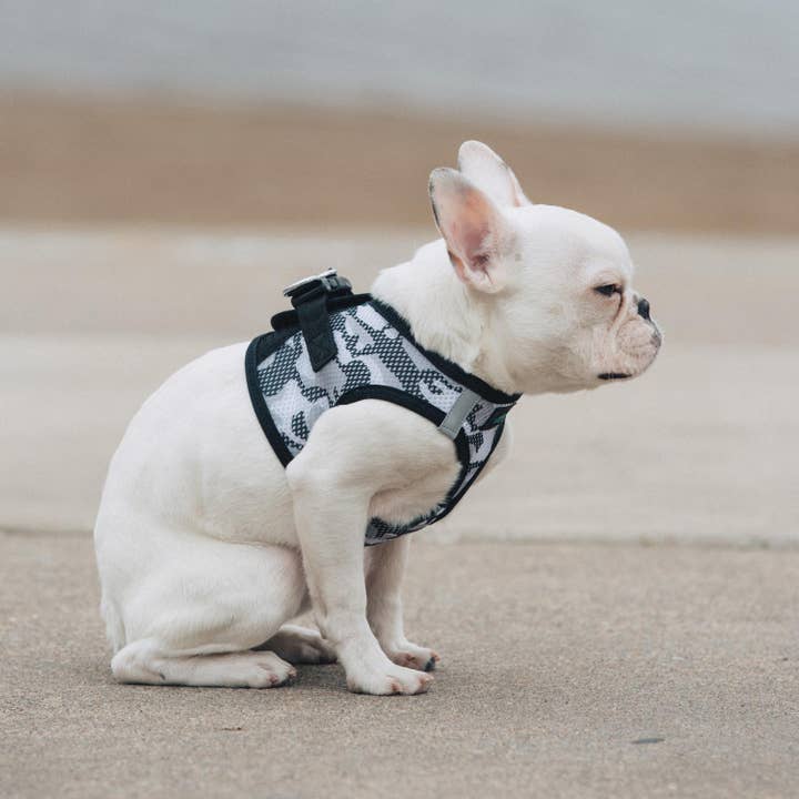 Doggie Design - Wholesale Pet Harness - Dog - American River Camouflage Dog Harness - Gray Camo