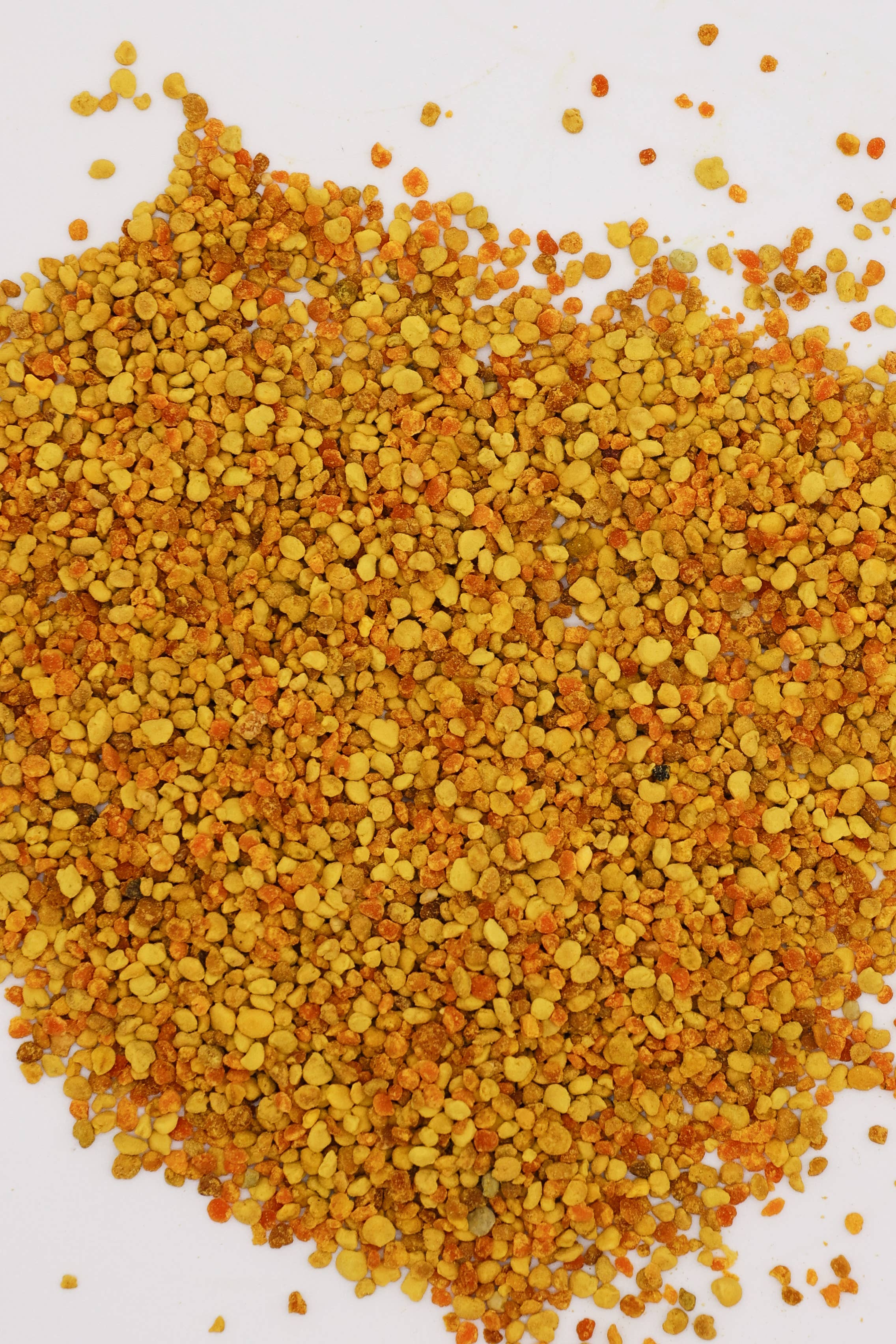 Bell Honey Company - Wholesale Honey - 1lb 100 Percent Pure Fresh Honeybee Pollen in Bulk1