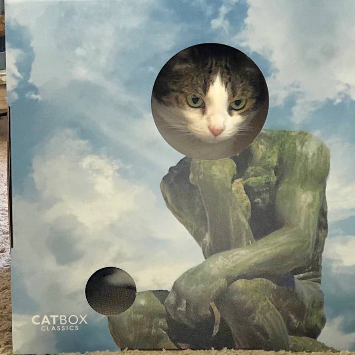 Cat Box Classics - Wholesale Pet Scratcher - Cat - Meow Masterpieces Cardboard Cat House with Scratcher3