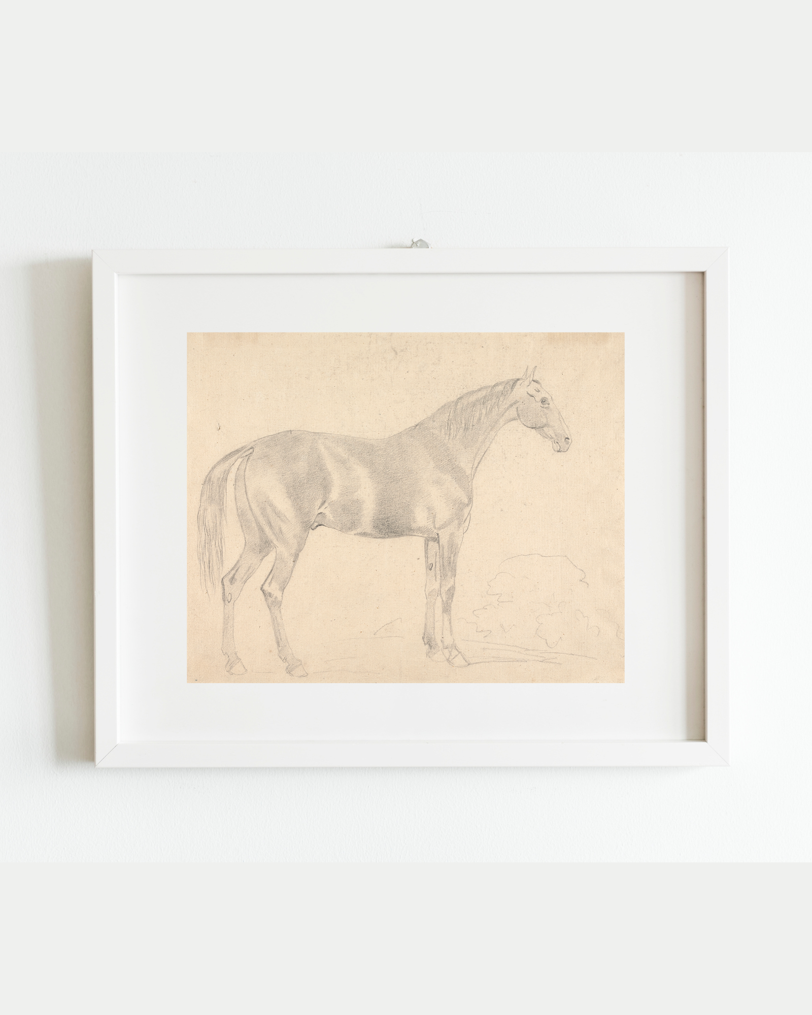 Sea to Skye - Wholesale Art Print - A Horse Facing Right Sketch Antique Art Print2