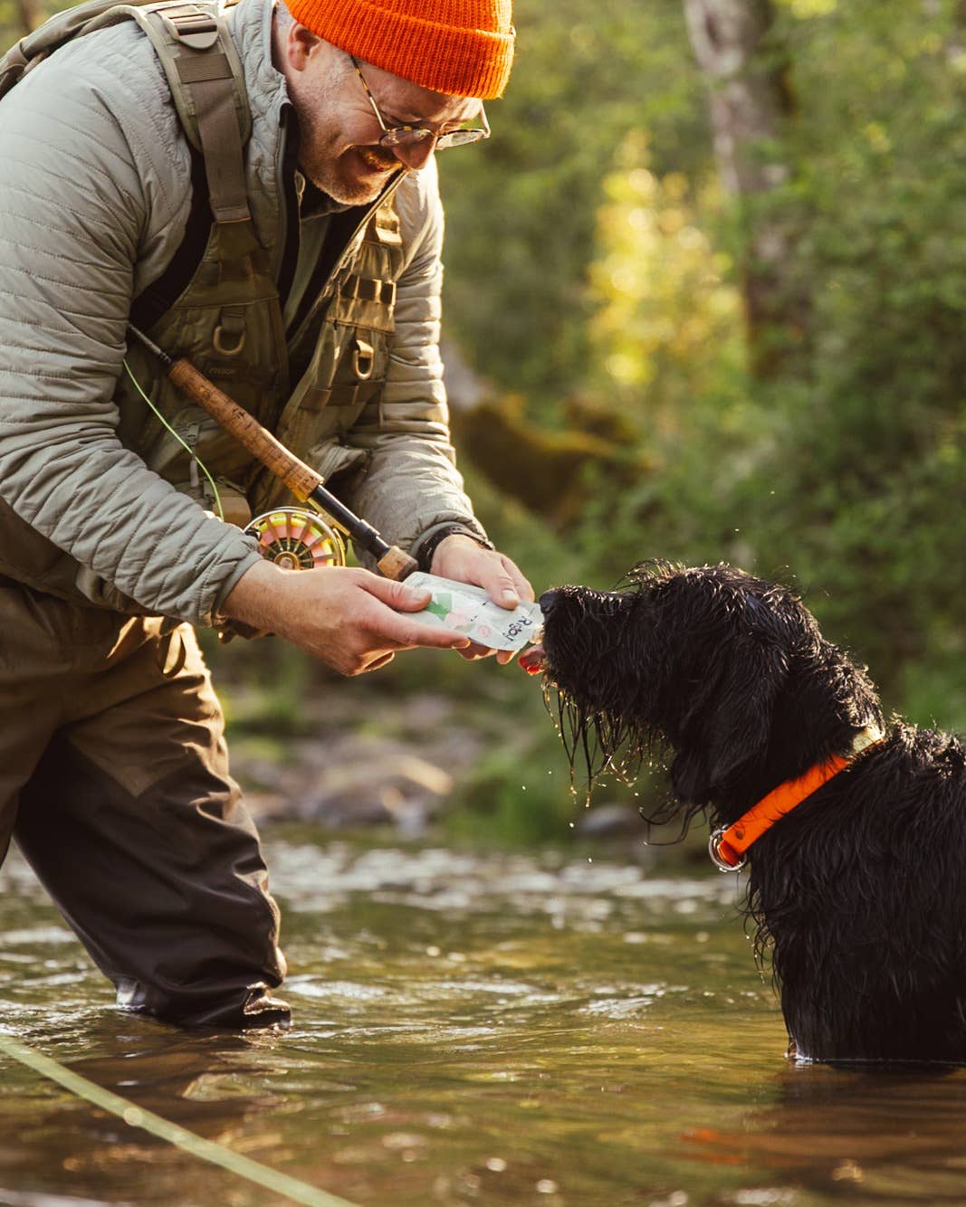 Rigby - Wholesale Pet Treats - Dog - Organic Salmon Squeeze Pouch for Dogs - 6 Pack5