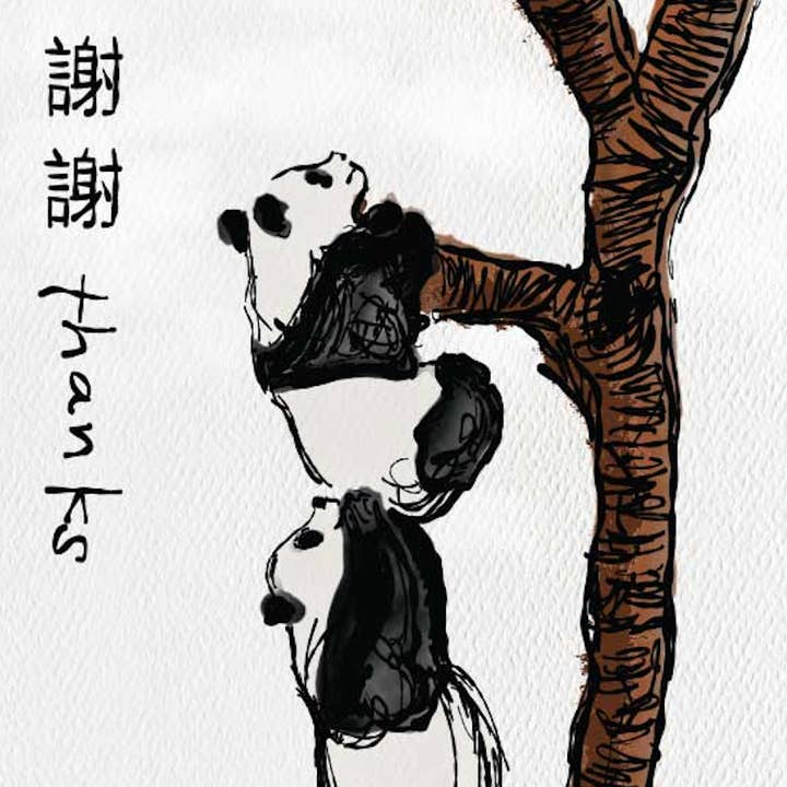 Mitzi Bitsy Spider - Wholesale Thank You Card - Thank you, Panda — Award Winning Thank You Greeting Card1