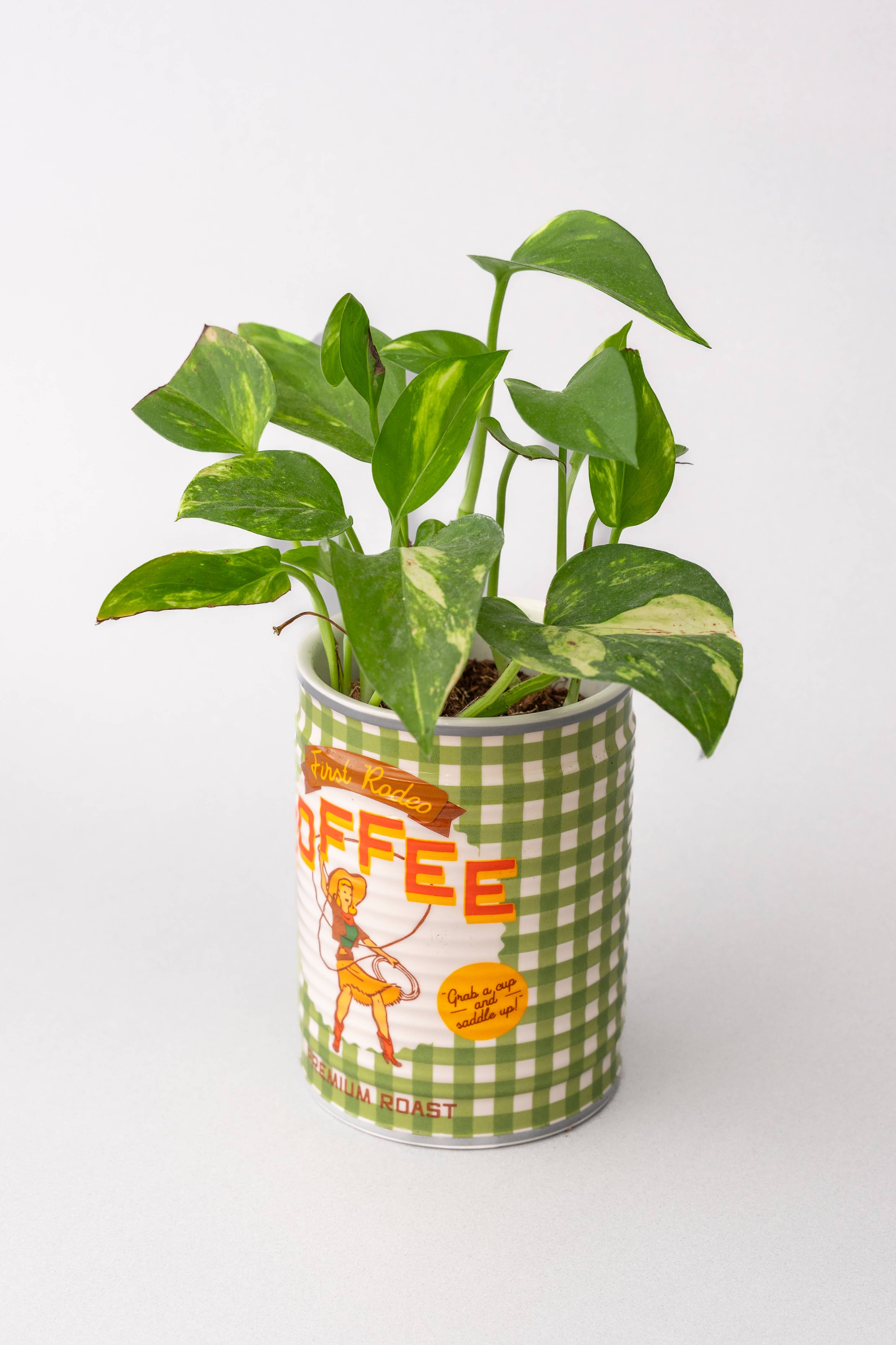 Ban.do - Wholesale Planter Box - Ceramic Planter, Coffee Can6